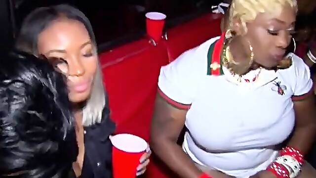 CIMA black and ebony