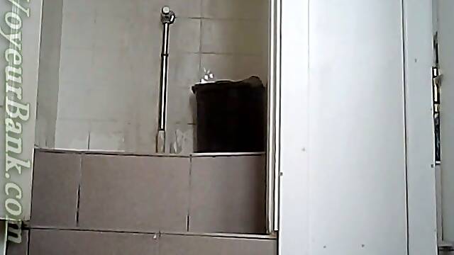 Aide À La Toilette, En Public Pantyhose, Voyeur Public Wc