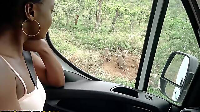 Nice-looking Amateur Ideal Black Girlfriend Turned On By Wilderness Makes Her Suck My Knob