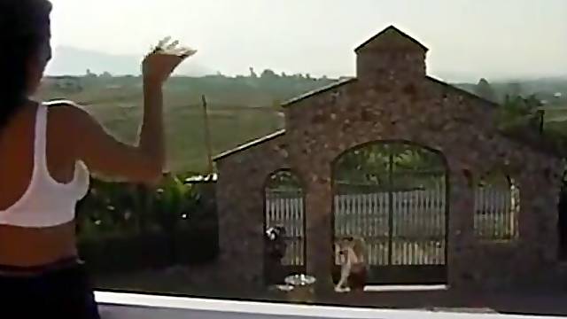 Les Film Nouveau, Il La Film Et Baise